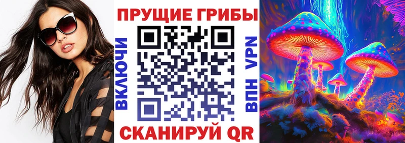 Галлюциногенные грибы Psilocybe  Жигулёвск 